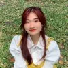 Vi Huynh