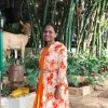 Velde Ravali