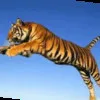 Vaishnav Dinesh