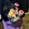 Fikrina Aliya Budianna