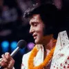 Elvis Ortega