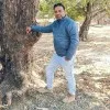 Vikas Dln