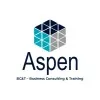 Aspen Business Consulting Training