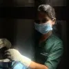 Lalithya