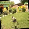Saurabh Kumar