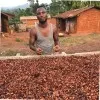 Amui Nii Quaye