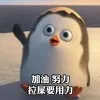 Jasmyn Wang