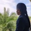 Swetha Varadharajan