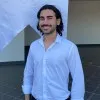Pevril Demir Arı
