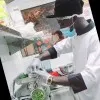 Ssozi Julius