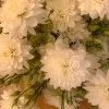 GARTHI GARTHI