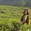 Greeshma Mariyam Shaju