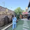 Areeba Bashir