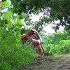Nalini