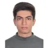 Parsa Amirabadi Zadeh