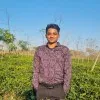 Saiful Islam