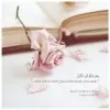 Dr Eng Samar Zayed