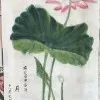 Anoom Zchen