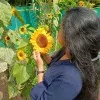 pravitha prasad