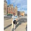 Ahmed Abdelhalim