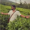 Sai Sanjay