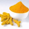 Sales Turmeric
