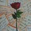 Warda Khan