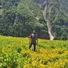 Aseem Kayastha