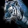 Wynand Smit
