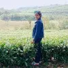 Anju Ashokan