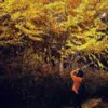 Ying Xu