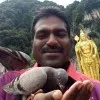 Saravanan Subbiah