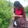 aishwarya gajjala