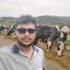 Lahiru Krawage