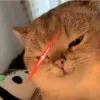 Nerin Chow