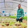Ahmed Elshokry