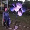 Habiba Safder