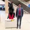 Balveer Singh Rathore