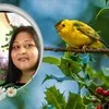 Julie Govender