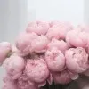 Jamila Al