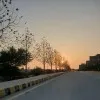 Bisma Mehmood