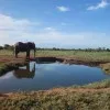 Jos Pamba