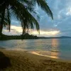 Eduardo Palm