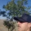 ali garousi