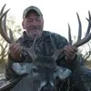 Don Morton