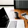 Essay Writers