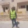 amer bataineh