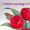 wahid Sheikh