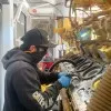 Vince Pestano