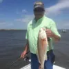 Steve Maples